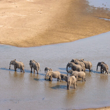 The Great Migration