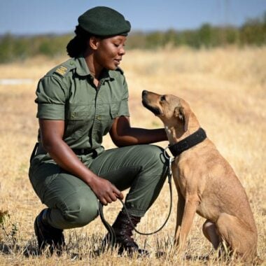 Tracker Academy: Indigenous Skills for Modern Conservation