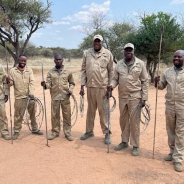 Standing firm: The Tashinga Initiative