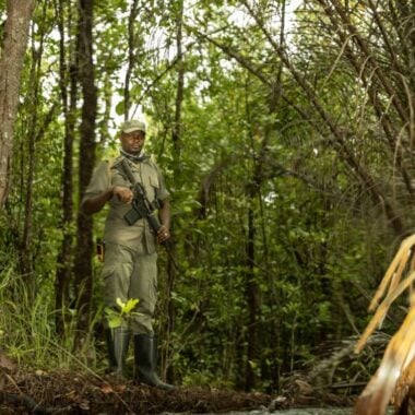 Standing firm: The Tashinga Initiative