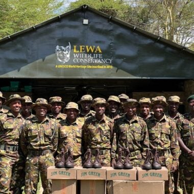 Standing firm: The Tashinga Initiative