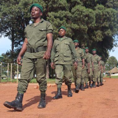 Standing firm: The Tashinga Initiative