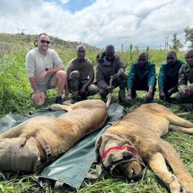 Beyond the Thornveld, inside the fight to protect North West’s wild heart