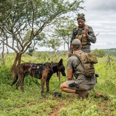 Life under canopy: Rethinking conservation in Dzanga-Sangha